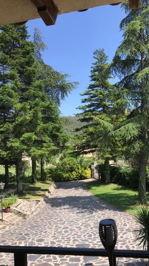 Bed and Breakfast Els Avets De La Muga Sant Llorenc de la Muga Экстерьер фото